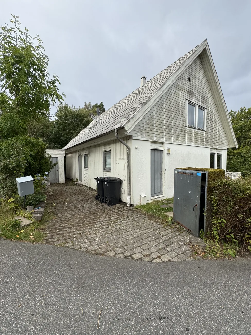 Fasadtvätt före rengöring